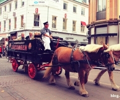 童话与啤酒的故事 哥本哈根2日探秘之旅